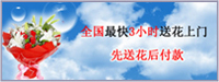 sdf